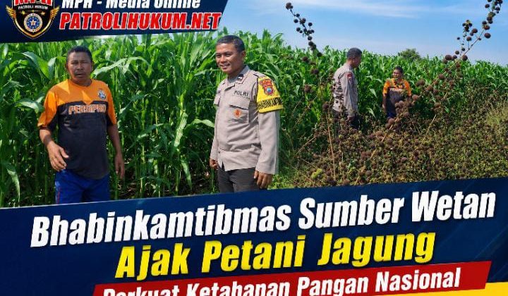 Bhabinkamtibmas Sumber Wetan Ajak Petani Jagung Perkuat Ketahanan Pangan Nasional