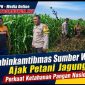 Bhabinkamtibmas Sumber Wetan Ajak Petani Jagung Perkuat Ketahanan Pangan Nasional