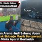 Dugaan Arena Judi Sabung Ayam di Klurak Sidoarjo Masih Beroperasi, Warga Minta Aparat Bertindak