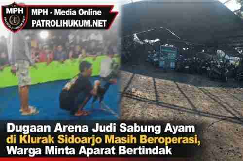 Dugaan Arena Judi Sabung Ayam di Klurak Sidoarjo Masih Beroperasi, Warga Minta Aparat Bertindak