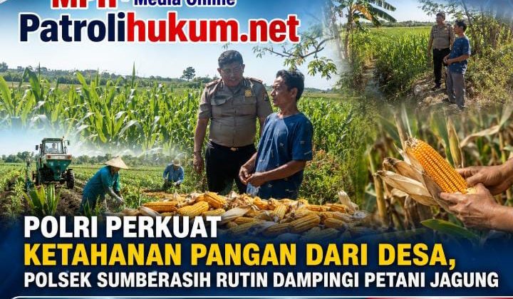 Polri Perkuat Ketahanan Pangan dari Desa, Polsek Sumberasih Rutin Dampingi Petani Jagung