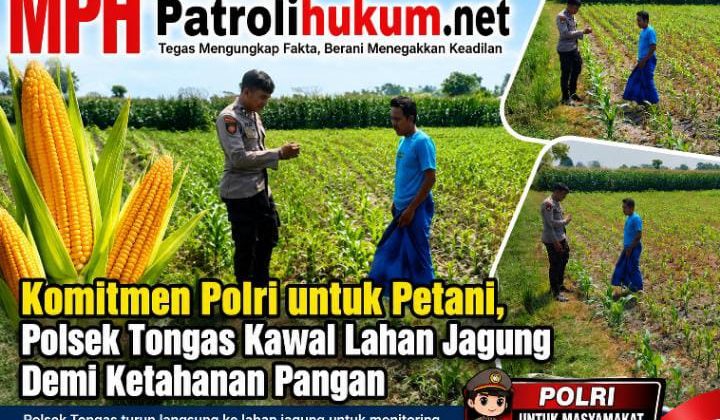 Komitmen Polri untuk Petani, Polsek Tongas Kawal Lahan Jagung Demi Ketahanan Pangan