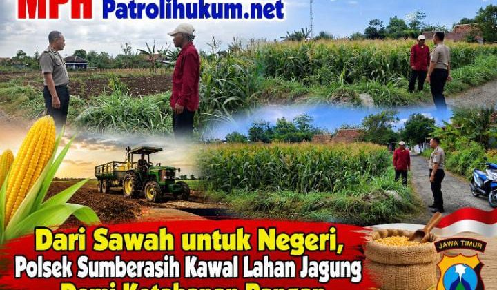 Dari Sawah untuk Negeri, Polsek Sumberasih Kawal Lahan Jagung Demi Ketahanan Pangan