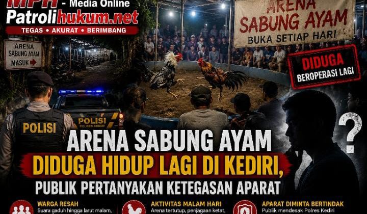 Arena Sabung Ayam Diduga Hidup Lagi di Kediri, Publik Pertanyakan Ketegasan Aparat