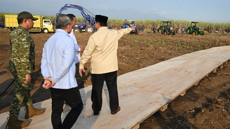 Panglima TNI Dampingi Presiden RI Panen Raya Terpadu TNI, Perkuat Ketahanan Pangan Nasional