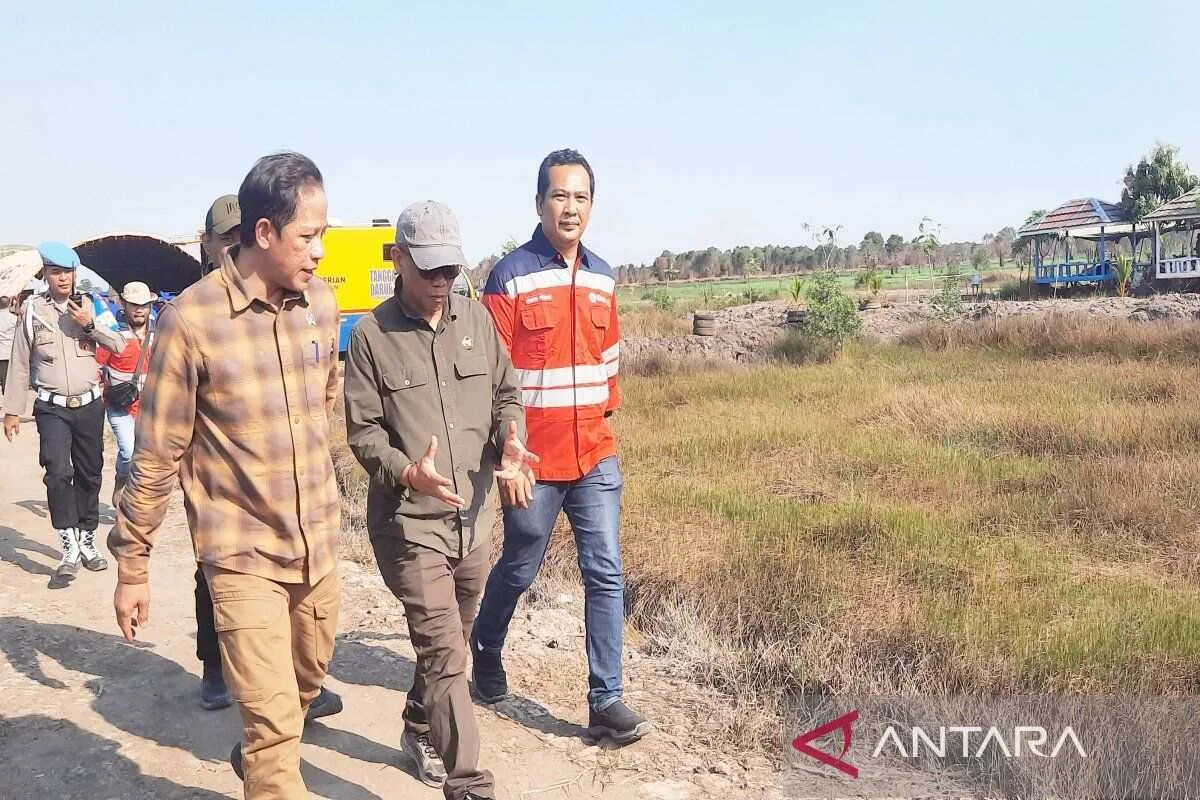 Perlunya Perbaikan Tata Ruang untuk Mencegah Karhutla