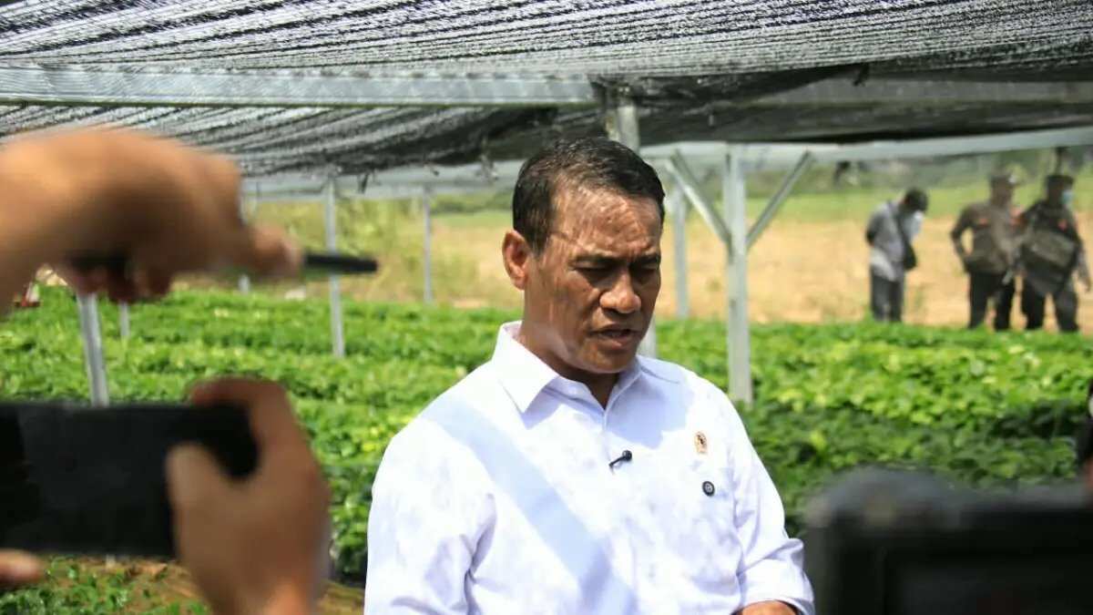 Dukungan Pemerintah untuk Pengembangan Kopi dan Kakao di Lampung Dukungan Pemerintah untuk Pengembangan Kopi dan Kakao di Lampung