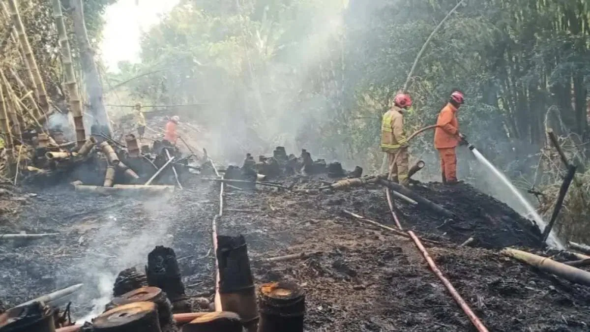 Perkembangan Penegakan Hukum Terhadap Karhutla Perkembangan Penegakan Hukum Terhadap Karhutla