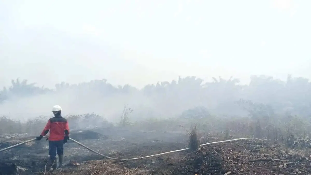 Strategi Efektif Mengatasi Karhutla di Kalimantan Strategi Efektif Mengatasi Karhutla di Kalimantan