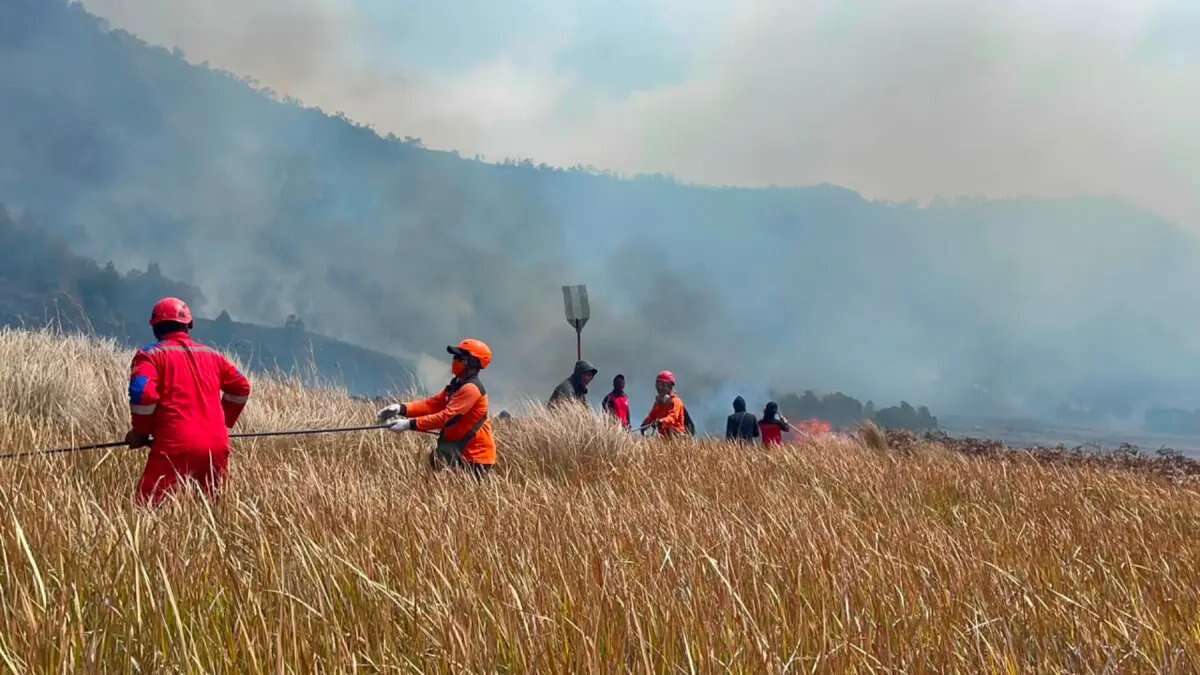 Kedaruratan Kekeringan: 24 Kabupaten/Kota di Jawa Timur Ambil Langkah Tanggap Kedaruratan Kekeringan: 24 Kabupaten/Kota di Jawa Timur Ambil Langkah Tanggap