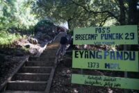 Tragedi Pendakian di Gunung Muria