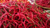 Kenaikan Harga Cabai Rawit Merah Mencapai Rp91.000 per Kg