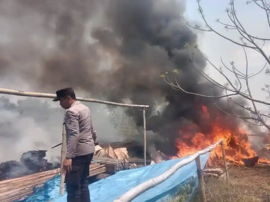 Kebakaran Lahan di Sota dan Upaya Pemadaman oleh TNI/Polri dan Warga