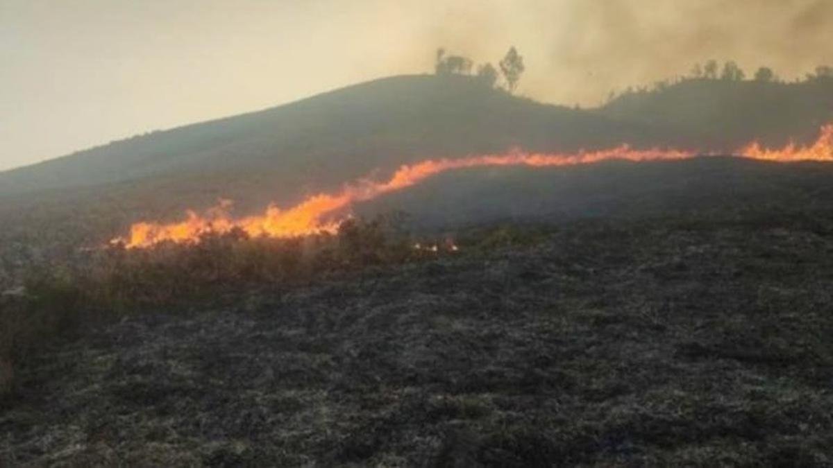 Kebakaran di Kawasan Wisata Gunung Bromo Kebakaran di Kawasan Wisata Gunung Bromo