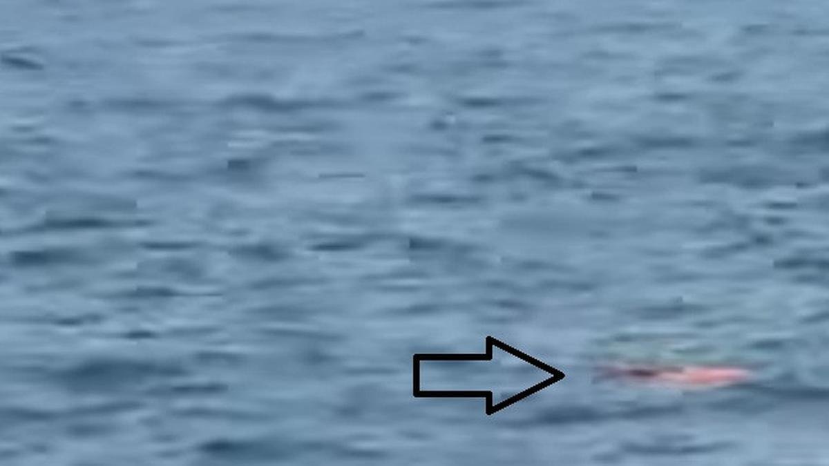 Pencarian Jurnalis yang Hilang Kontak di Selat Sunda Pencarian Jurnalis yang Hilang Kontak di Selat Sunda