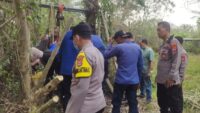 Evakuasi Kerbau Betina yang Terperosok ke Dalam Sumur di Serang