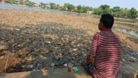 Kondisi Setu Cilodong Depok: Mengering dan Terpapar Sampah