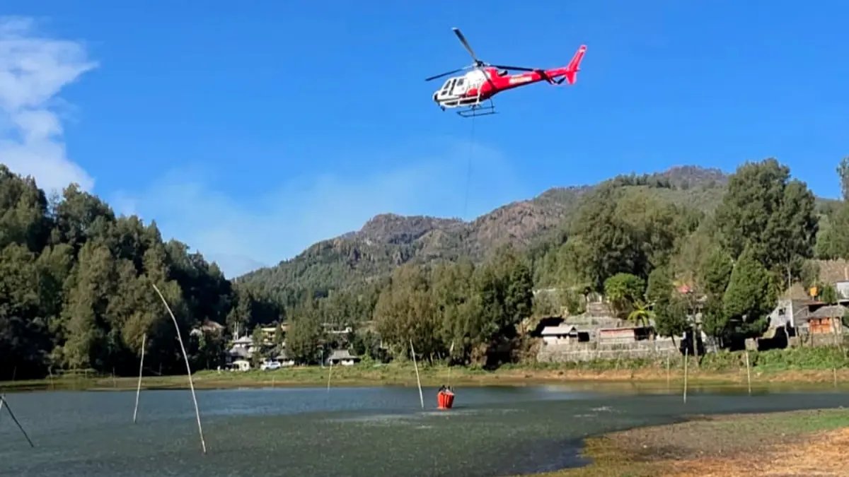 Upaya Pemadaman Kebakaran Hutan di Gunung Bromo