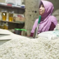 Ketersediaan Beras di Tengah Tantangan El Nino Ketersediaan Beras di Tengah Tantangan El Nino