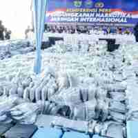 Penangkapan Dua Pria Terlibat Dalam Kasus Penyimpanan Ganja Penangkapan Dua Pria Terlibat Dalam Kasus Penyimpanan Ganja
