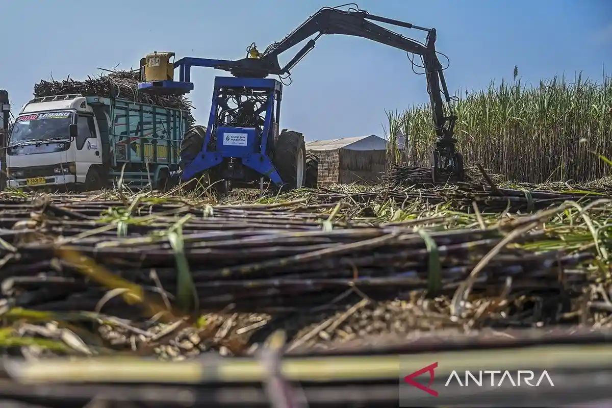 Kebijakan Bioetanol E10: Target Penerapan 2027 dan Pentingnya Ketahanan Pangan