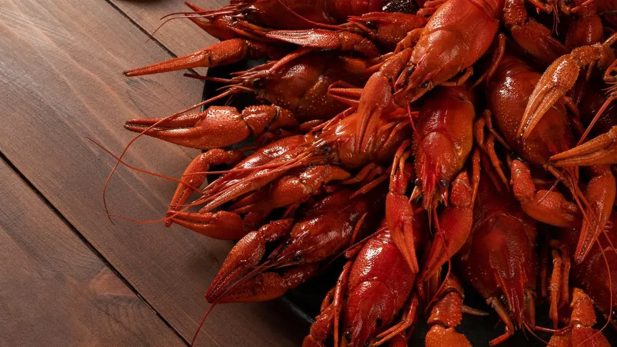 Petugas memastikan seluruh benih bening lobster tersebut telah diamankan untuk kepentingan proses penyidikan lebih lanjut Petugas memastikan seluruh benih bening lobster tersebut telah diamankan untuk kepentingan proses penyidikan lebih lanjut