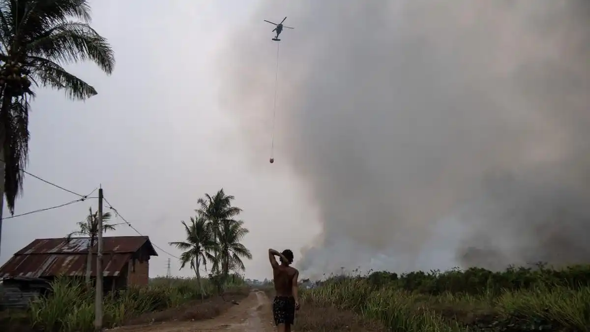 Asap Karhutla Kalimantan Diduga Picu Penurunan Kualitas Udara di Makassar Asap Karhutla Kalimantan Diduga Picu Penurunan Kualitas Udara di Makassar