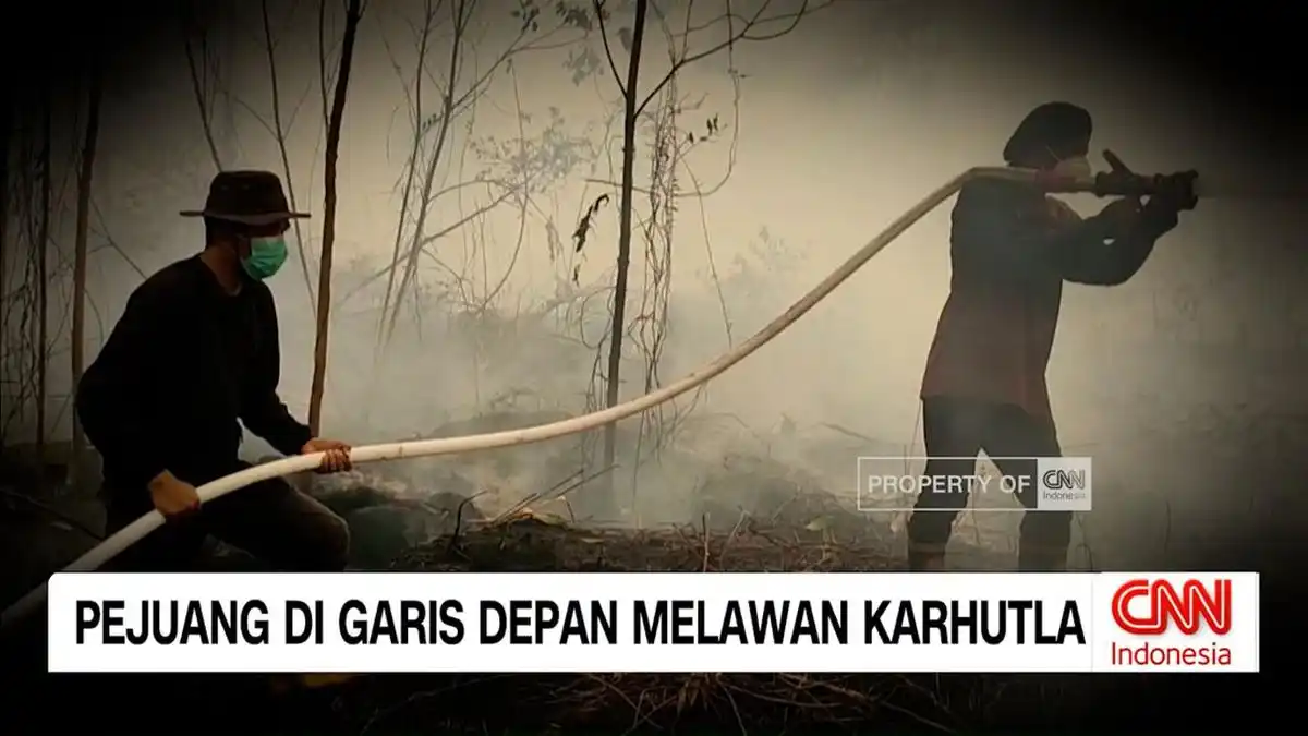 Relawan Karhutla Tetap Bertahan di Tengah Kepungan Api dan Honor Tertunda