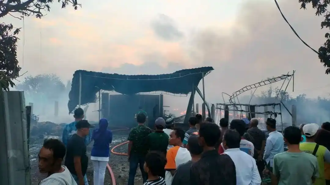 Peternakan Ayam Kebakaran: 28 ribu Ekor Ayam Mati Terpanggang, Kerugian Rp2,5 miliar