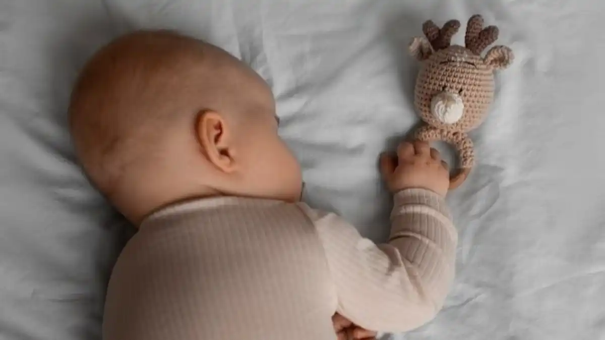 Bayi Alena Meninggal Setelah Mengonsumsi Telur Mentah, IDAI Jelaskan Risiko Salmonella Bayi Alena Meninggal Setelah Mengonsumsi Telur Mentah, IDAI Jelaskan Risiko Salmonella