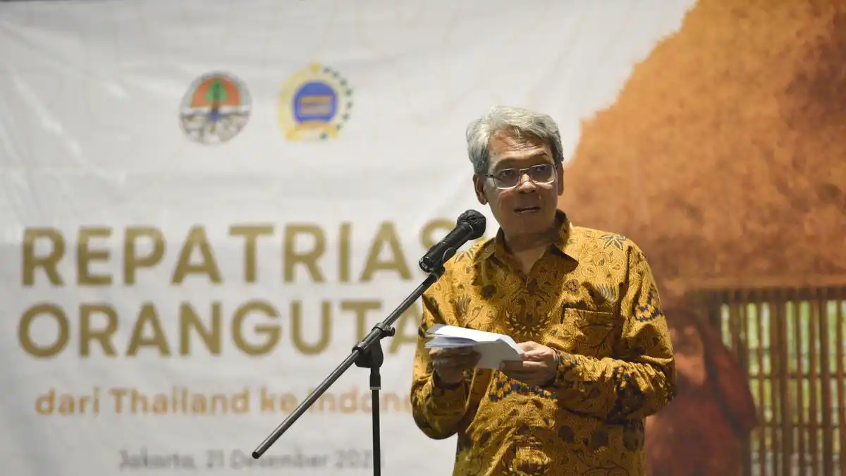 Satyawan Pudyatmoko Dipilih Memimpin BPGMN untuk Perkuat Pencegahan Karhutla Satyawan Pudyatmoko Dipilih Memimpin BPGMN untuk Perkuat Pencegahan Karhutla