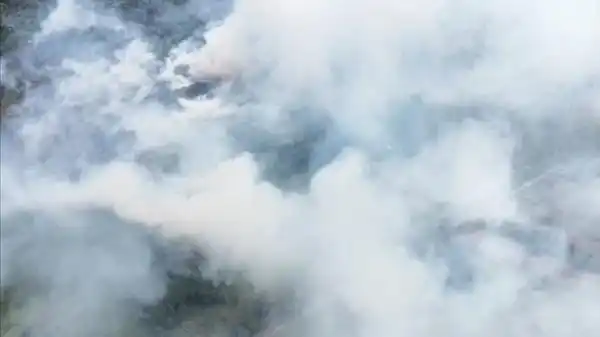 BNPB Tangani Karhutla di Enam Provinsi, Tanjung Puting Jadi Titik Terluas