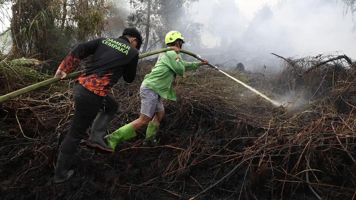 BNPB Catat 639,23 Hektare Lahan Masih Terbakar, Penanganan Terpusat di Kalimantan Tengah