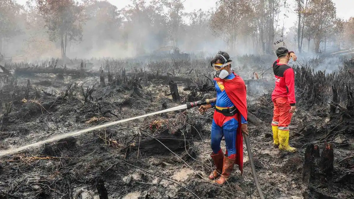 Pemerintah Kerahkan Berbagai Unsur Tangani Karhutla, Menteri LH Bantah Ada Pembiaran