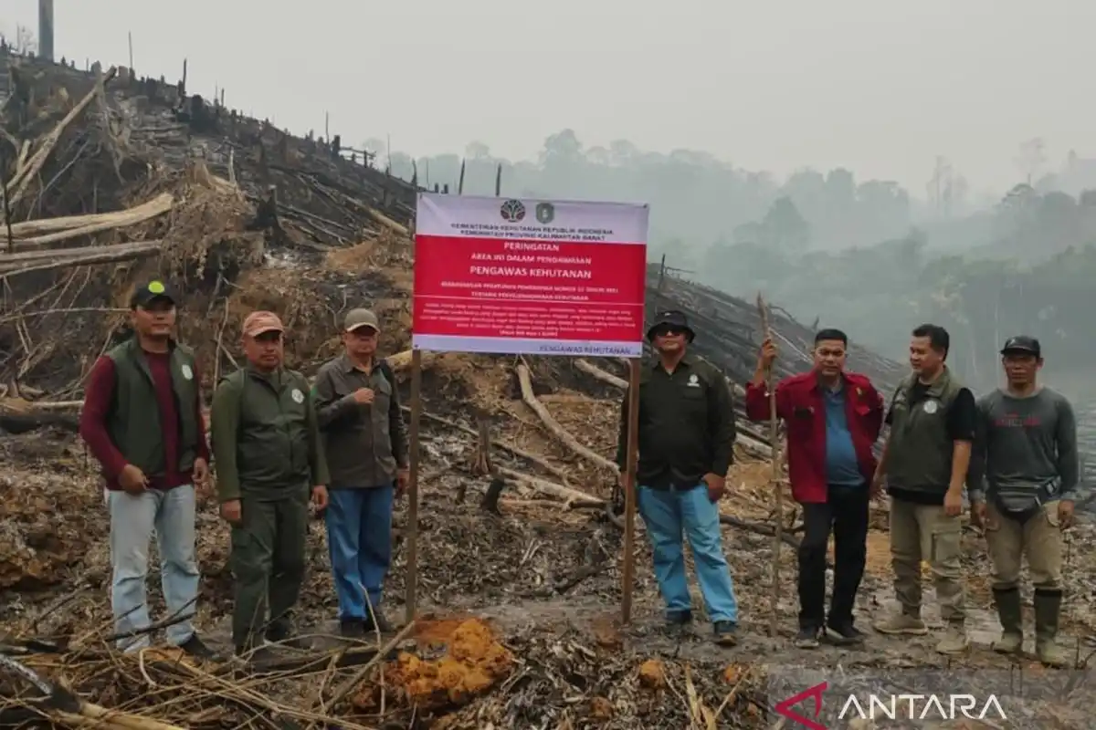 Kesiapan Pengendalian Karhutla di Konsesi Ketapang Utara Masih Disorot