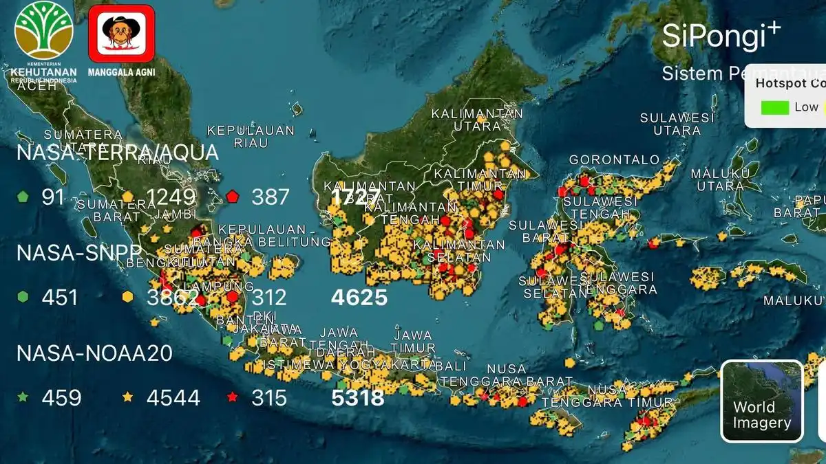 Karhutla Kalteng dan Sumsel Membakar 343,55 Hektare, Kabut Asap Ganggu Jarak Pandang Karhutla Kalteng dan Sumsel Membakar 343,55 Hektare, Kabut Asap Ganggu Jarak Pandang