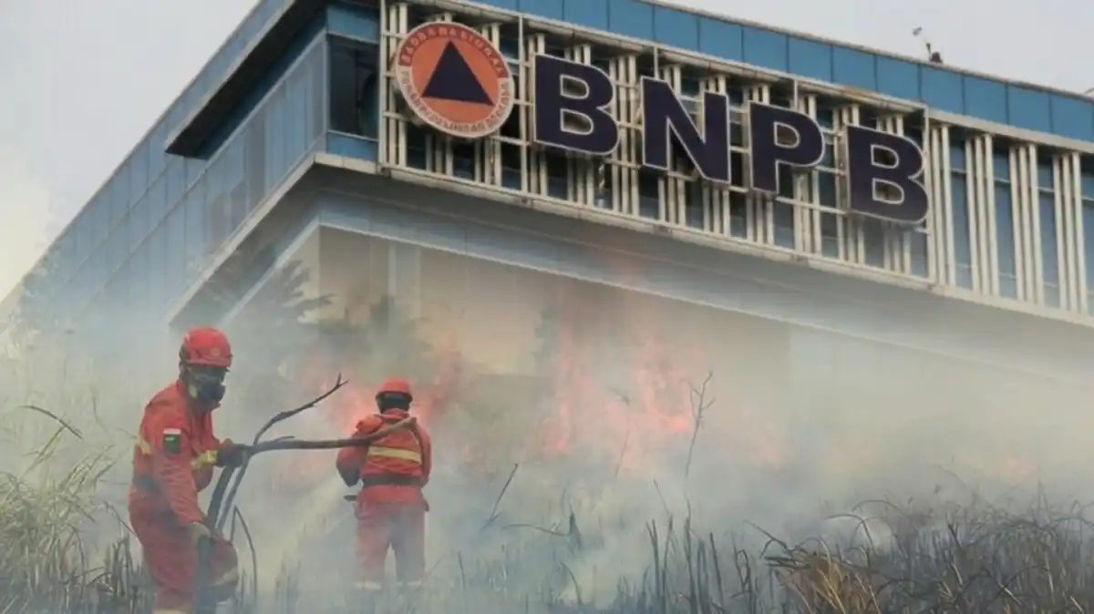 Dugaan OTT KPK di Lingkungan BNPB, Pengadaan Dana Bencana Jadi Sorotan