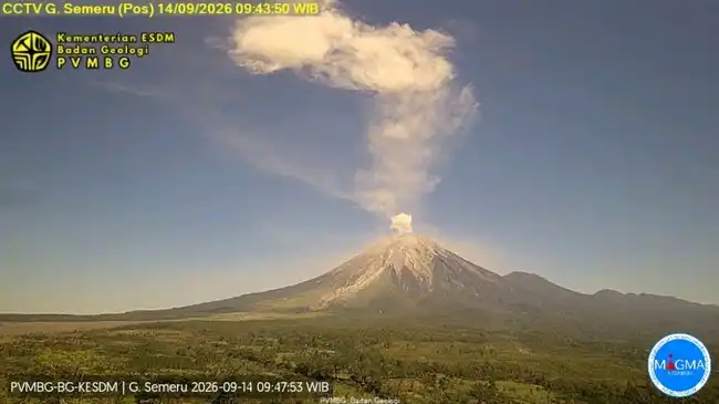 Erupsi Semeru Terekam pada 14 Oktober 2026, Status Gunung Berada di Level Siaga
