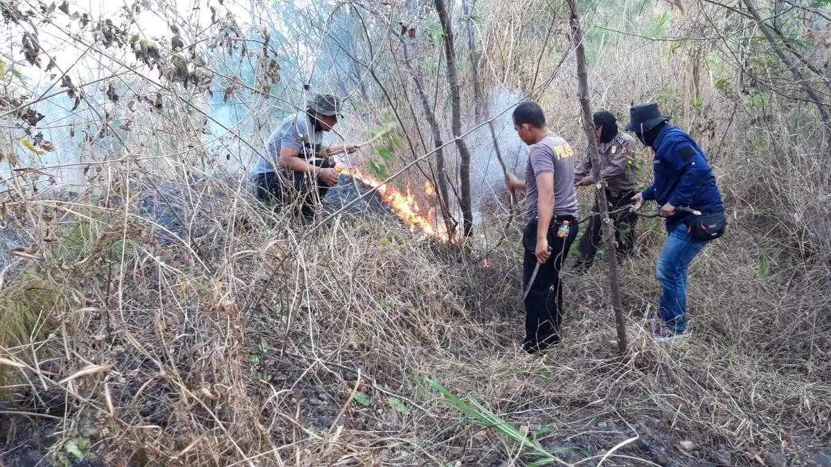 Target Bertahap Memperkuat Polisi Hutan Indonesia hingga 2027