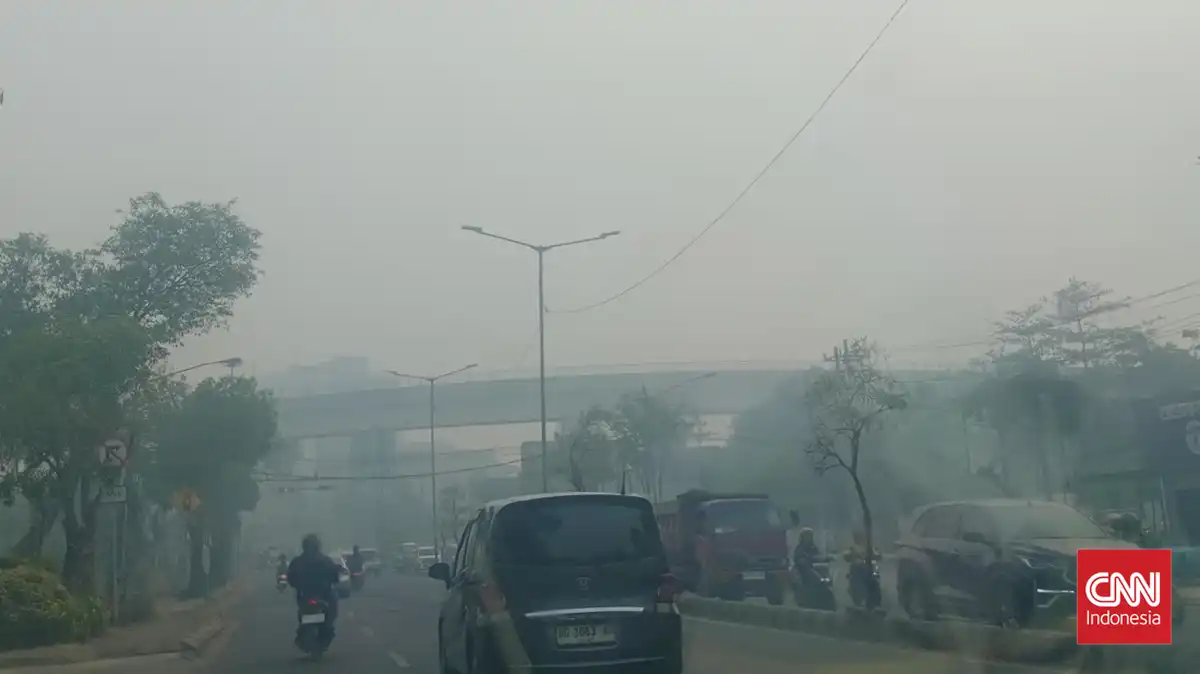 Paparan Kabut Asap Karhutla Mengancam Kesehatan Mata, Ini Penjelasan Kemenkes