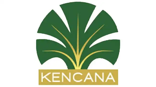 Kebakaran di Konsesi Kencana Agri: Penyelidikan Berlangsung dan Perusahaan Menyampaikan Respons