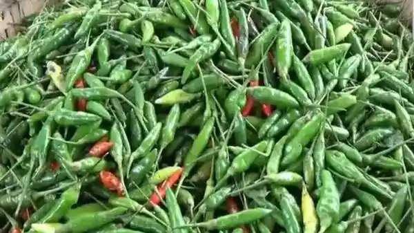 Harga Pangan Nasional Melemah pada Awal Pekan, Cabai Rawit Hijau Turun ke Rp40.000 per Kilogram