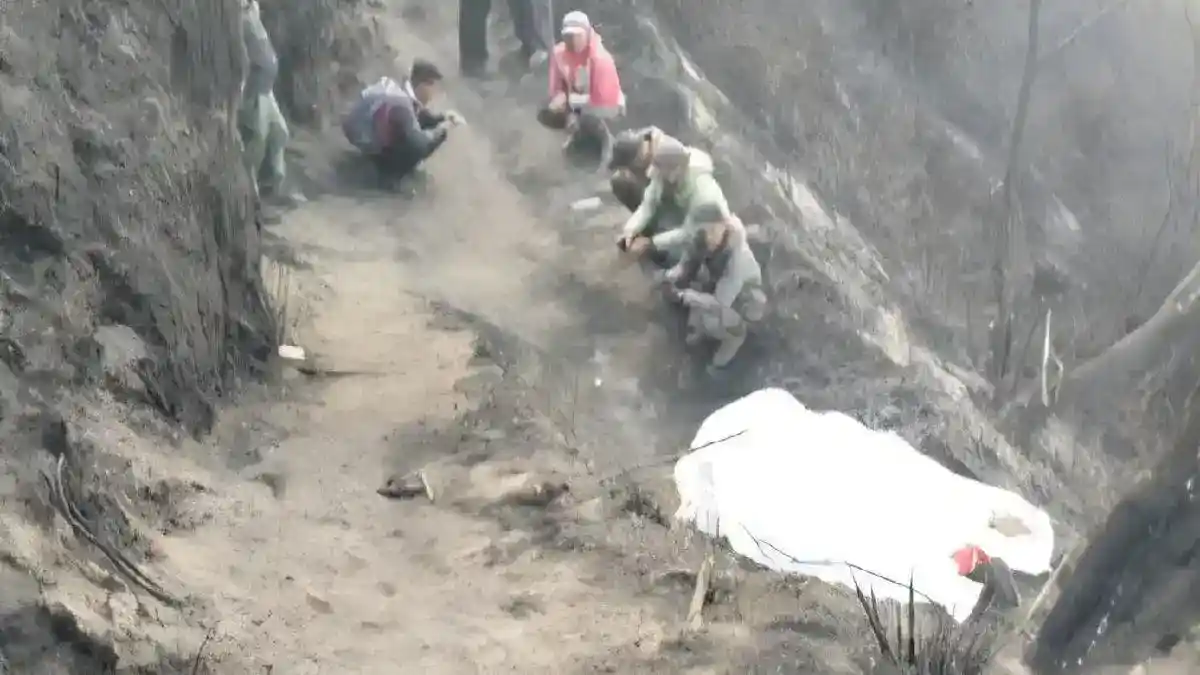 Relawan Lokal Jadi Korban Kelima Kebakaran di Kawasan Bromo