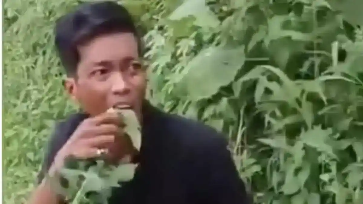 Dua Pria Diduga Curi Pepaya di Deli Serdang, Polisi Masih Memeriksa Saksi