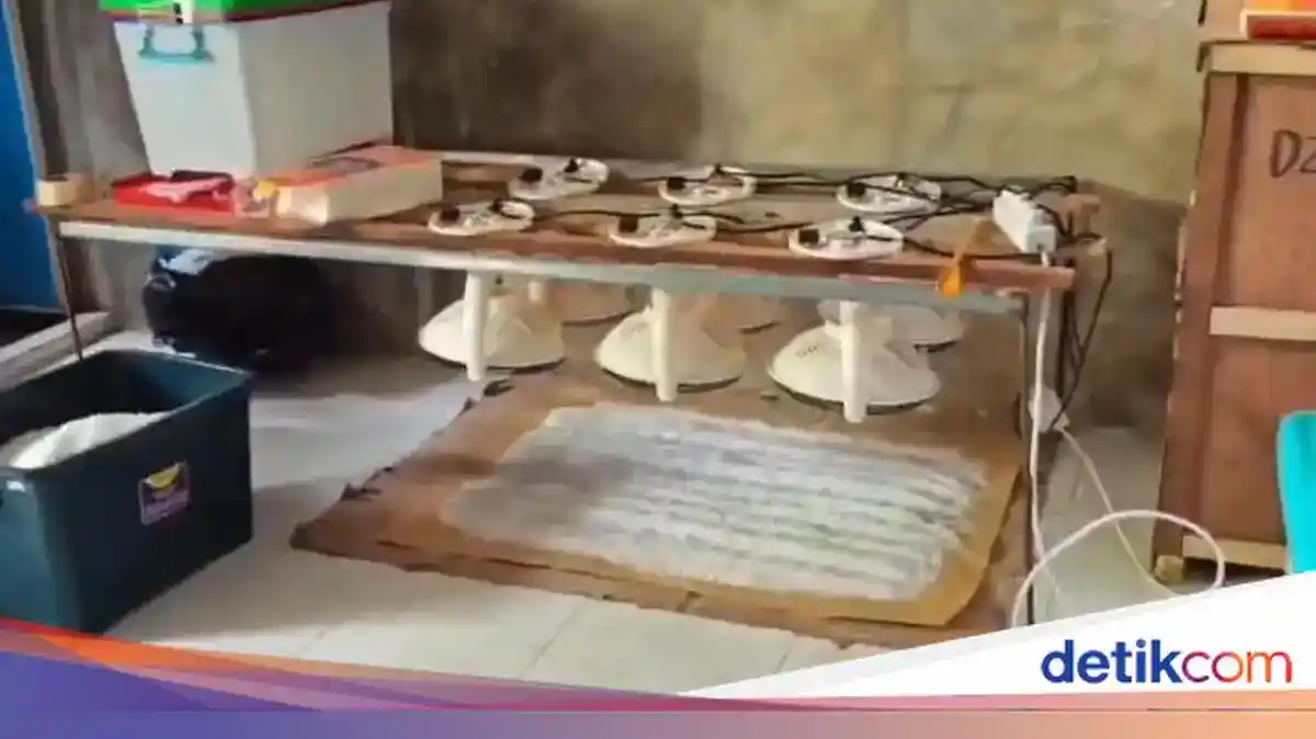 Pengungkapan Narkoba di Pidie dan Belawan: Dua Operasi Besar Aparat Gabungan