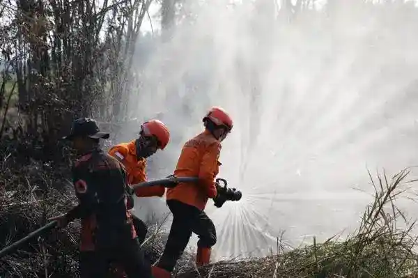Daniel Johan Dorong Aturan Kehutanan Tegas bagi Pelaku Karhutla