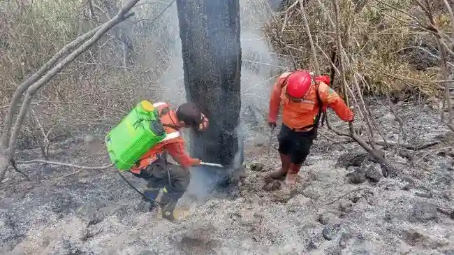 BNPB Pantau Karhutla di Kuningan, Ciamis, dan Grobogan