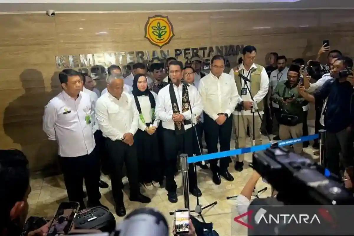 Skema Koperasi dan Jagung untuk Memperkuat Pasokan Pakan Ternak
