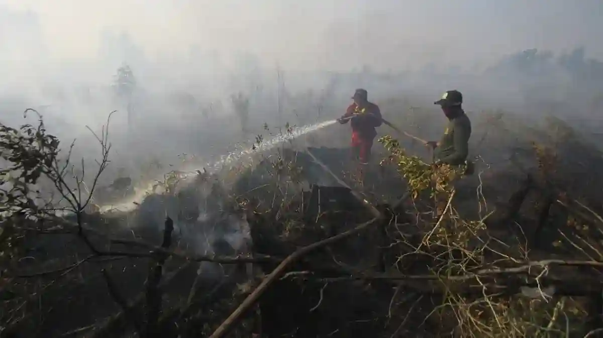 Pengabdian Terakhir Padayya Saat Menangani Kebakaran Hutan di Toraja Utara