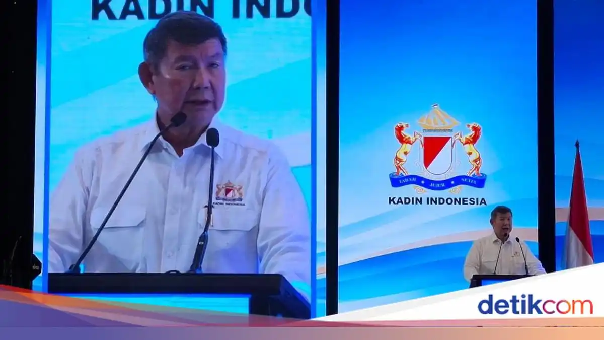 Hashim Peringatkan Risiko Rupiah Jika Status Pasar Modal Indonesia Turun Hashim Peringatkan Risiko Rupiah Jika Status Pasar Modal Indonesia Turun